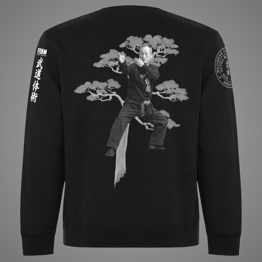 Sweatshirt without hood