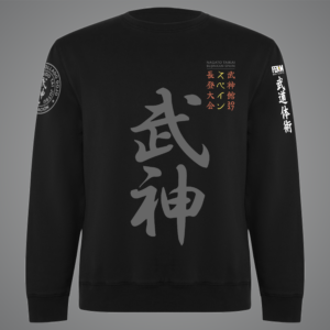 Sweatshirt without hood